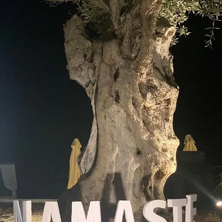 Namasté Sant Rafel de sa Creu